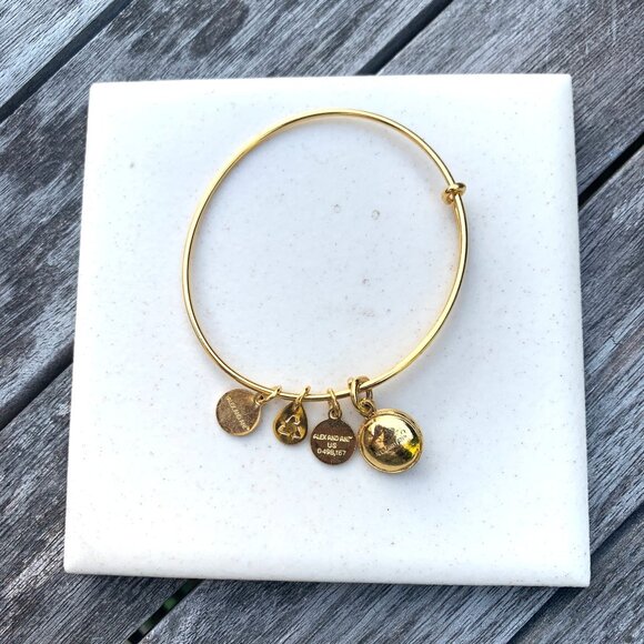 Alex and Ani – February Birthstone Bangle (Amethyst) – Shiny Gold Finish Expands - Picture 2 of 2